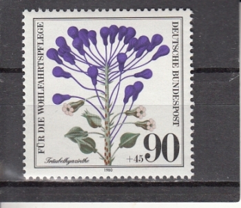 NSR 1062 ** - 1980